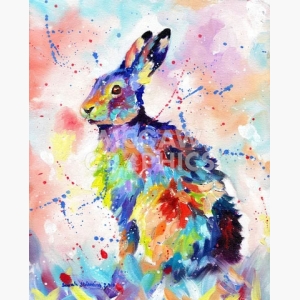 Color Hare