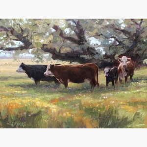 Summer Pasture