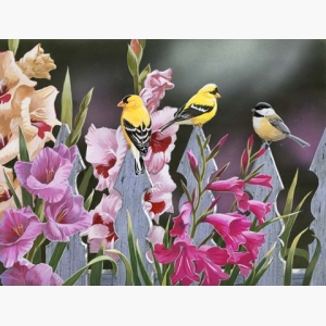 Feathered Friends and Gladiolus