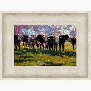 Morning Cattle Framed